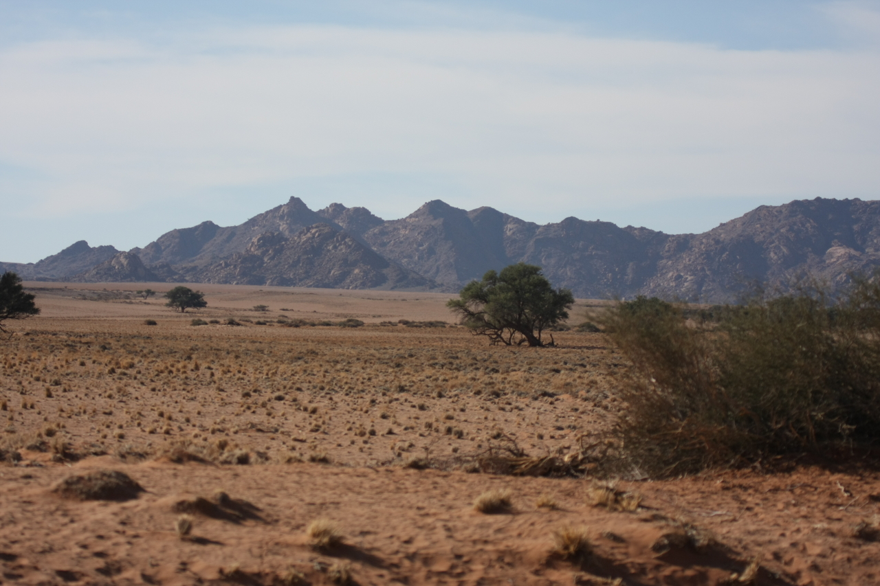 [15796] 2016_06_25_09_32_36_Africa_Canon_EOS_40D_IMG__09559.jpg