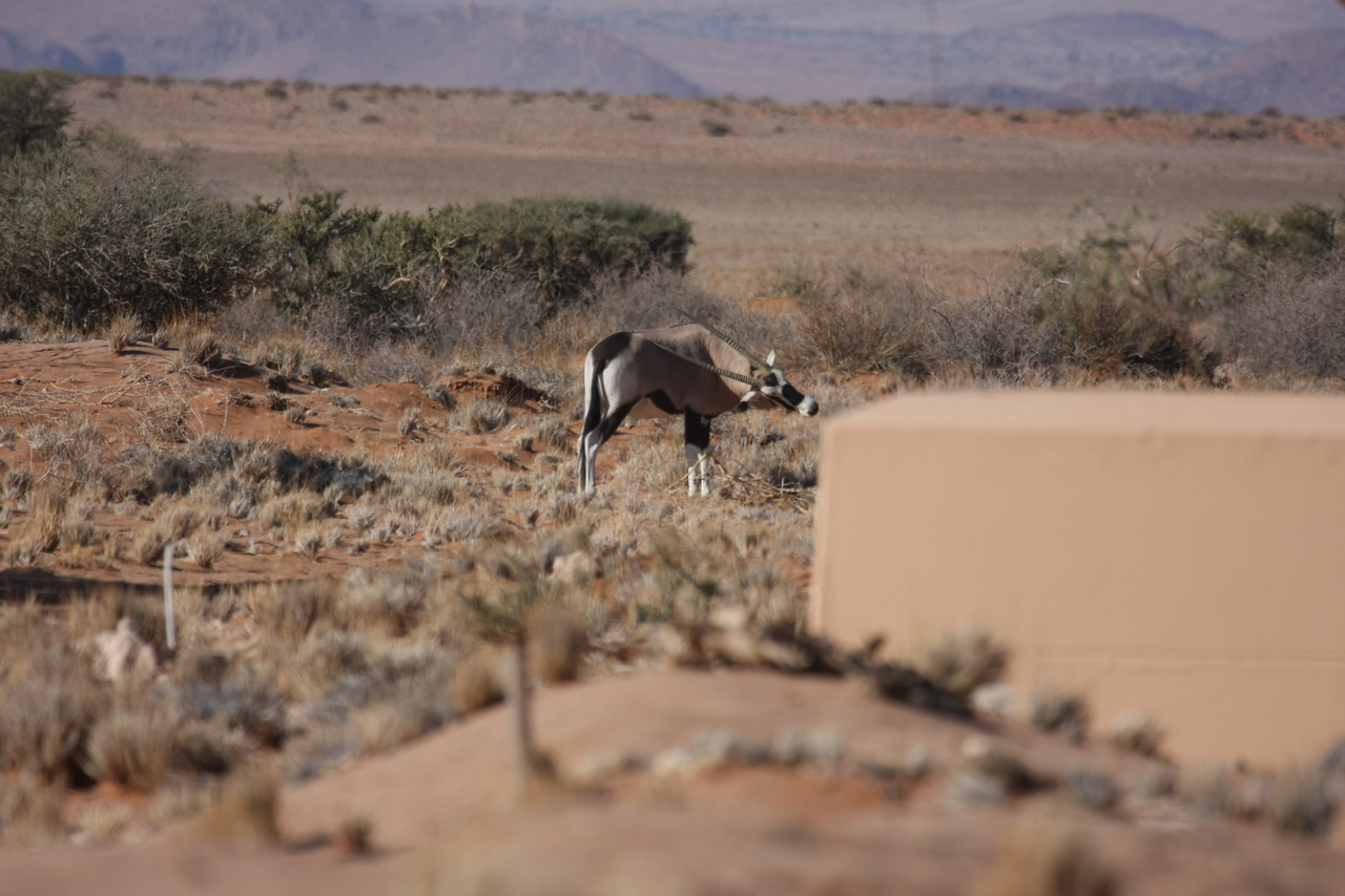 [15820] 2016_06_25_09_33_58_Africa_Canon_EOS_40D_IMG__02122.jpg