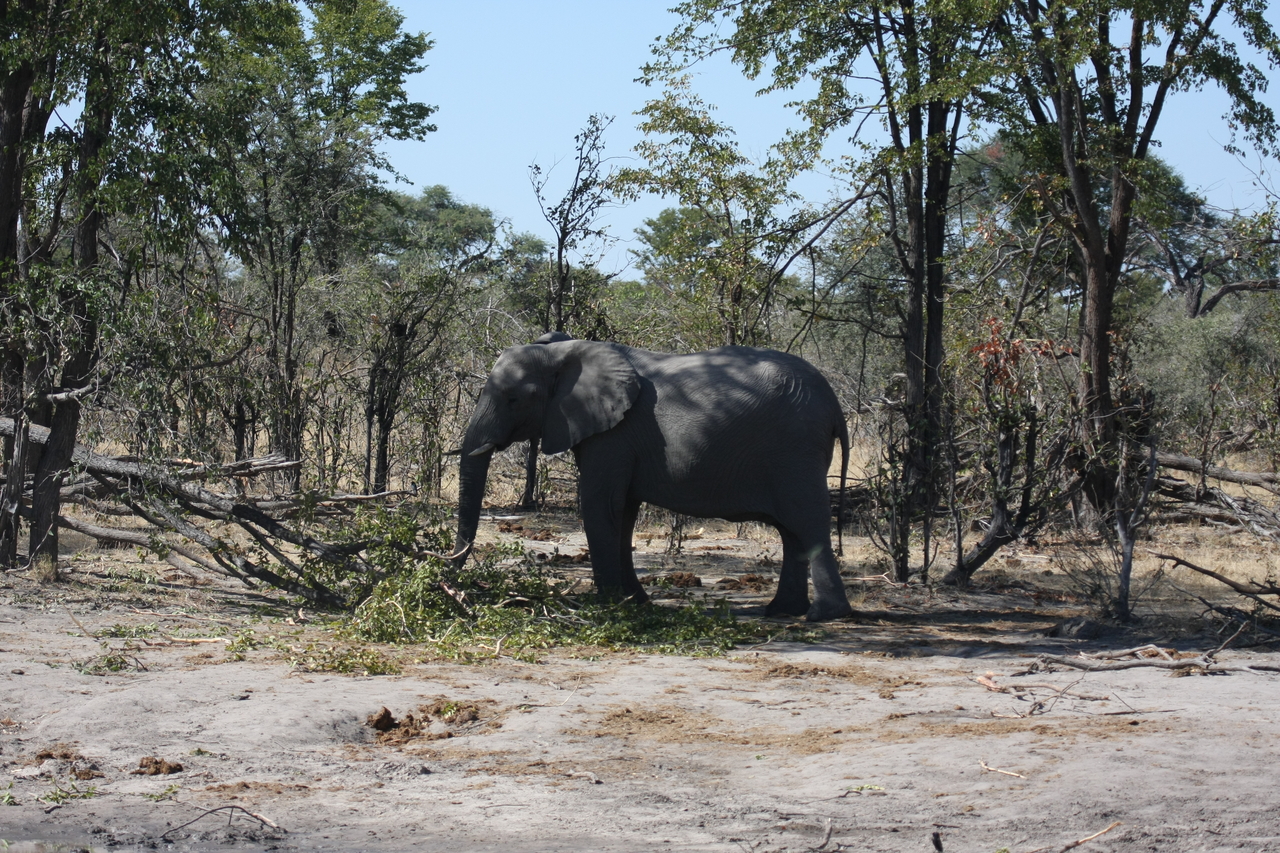 [16847] 2016_06_27_07_52_11_Africa_Canon_EOS_40D_IMG__00023.jpg