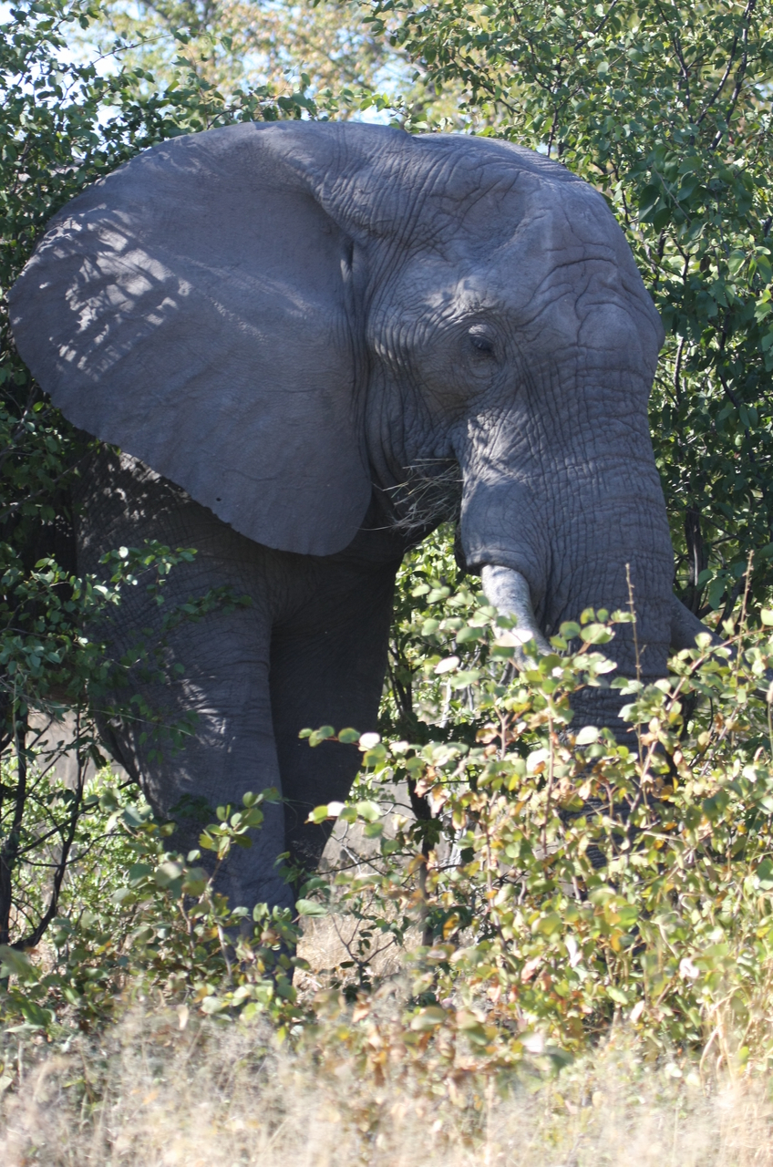 [16994] 2016_06_27_09_18_14_Africa_Canon_EOS_40D_IMG__02357.jpg