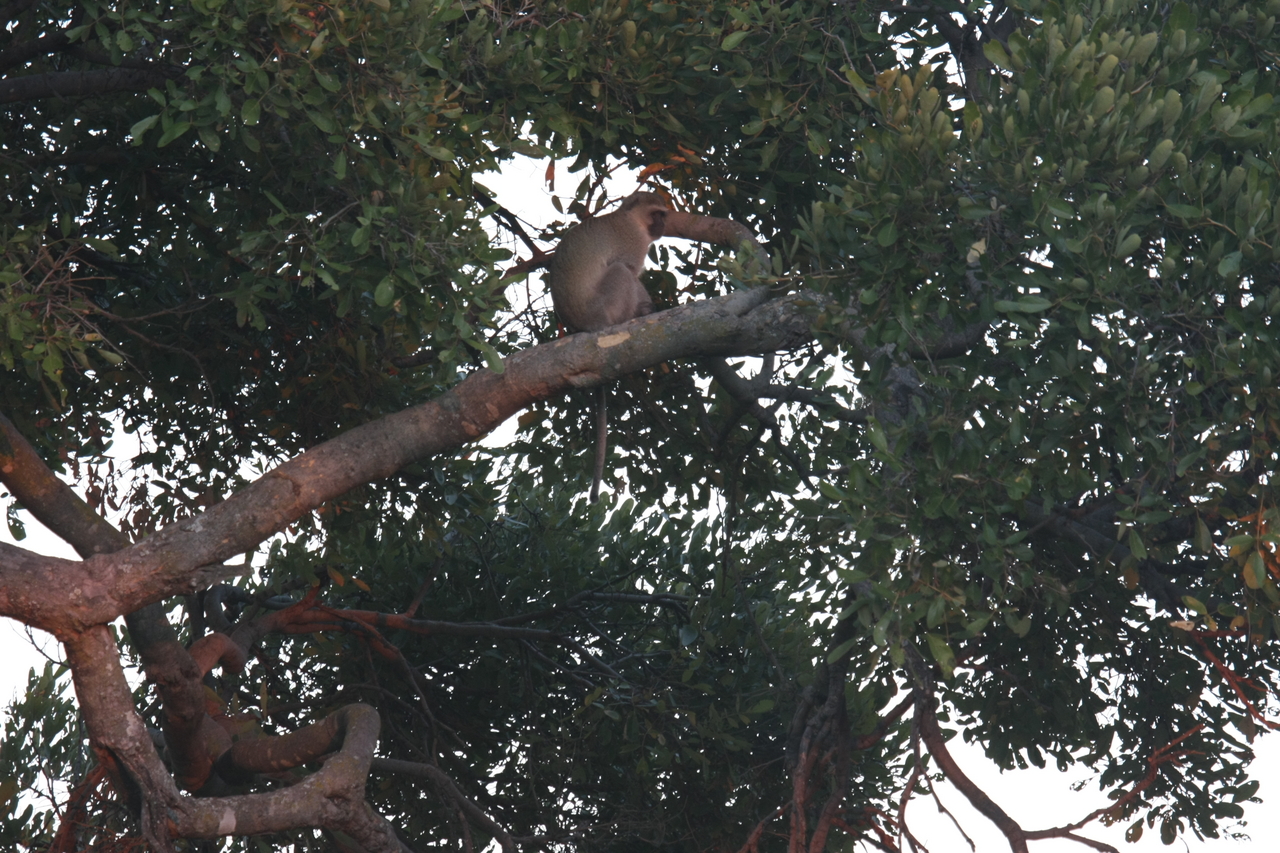 [17494] 2016_06_28_01_04_00_Africa_Canon_EOS_40D_IMG__10502.jpg