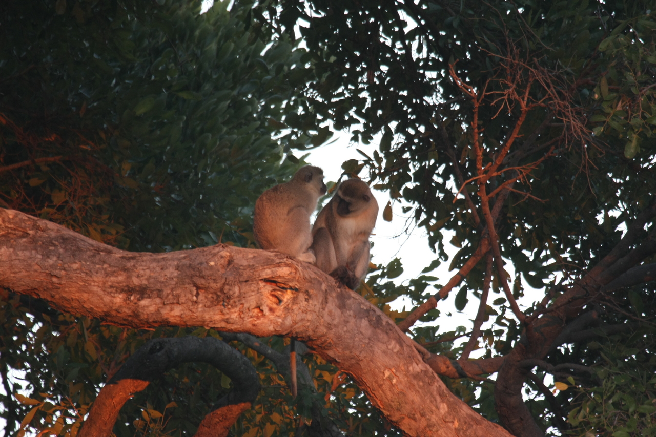 [17495] 2016_06_28_01_05_06_Africa_Canon_EOS_40D_IMG__00779.jpg