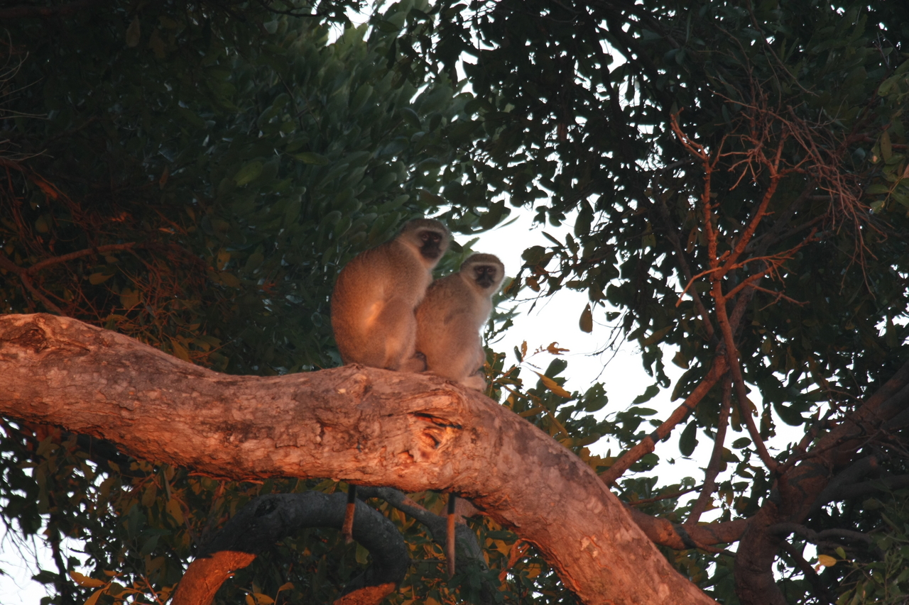 [17502] 2016_06_28_01_05_13_Africa_Canon_EOS_40D_IMG__00014.jpg