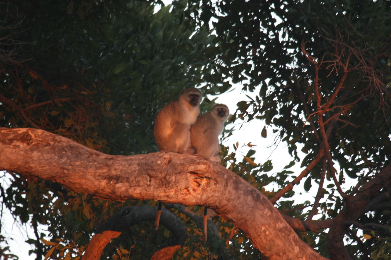 [17511] 2016_06_28_01_05_19_Africa_Canon_EOS_40D_IMG__02423.jpg