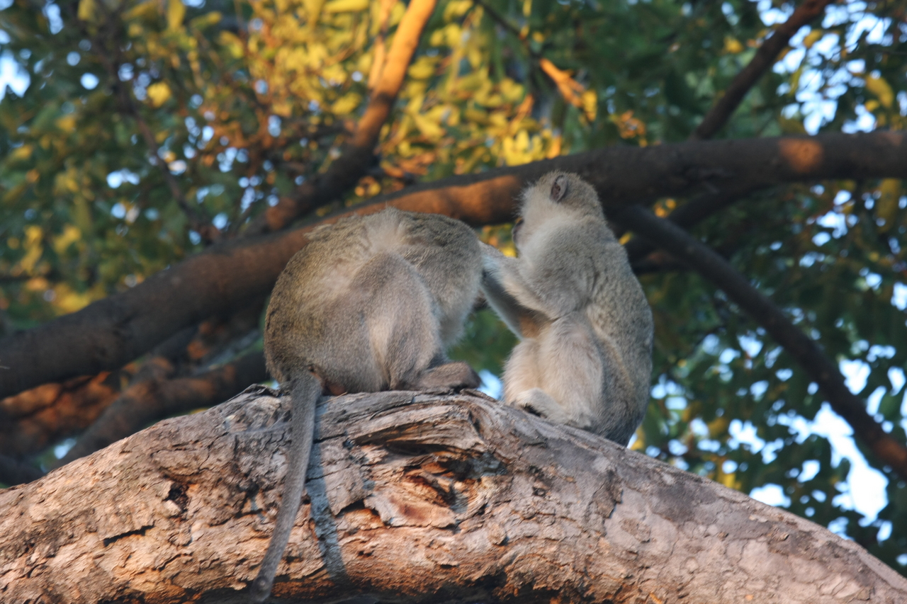 [17568] 2016_06_28_01_10_44_Africa_Canon_EOS_40D_IMG__00213.jpg