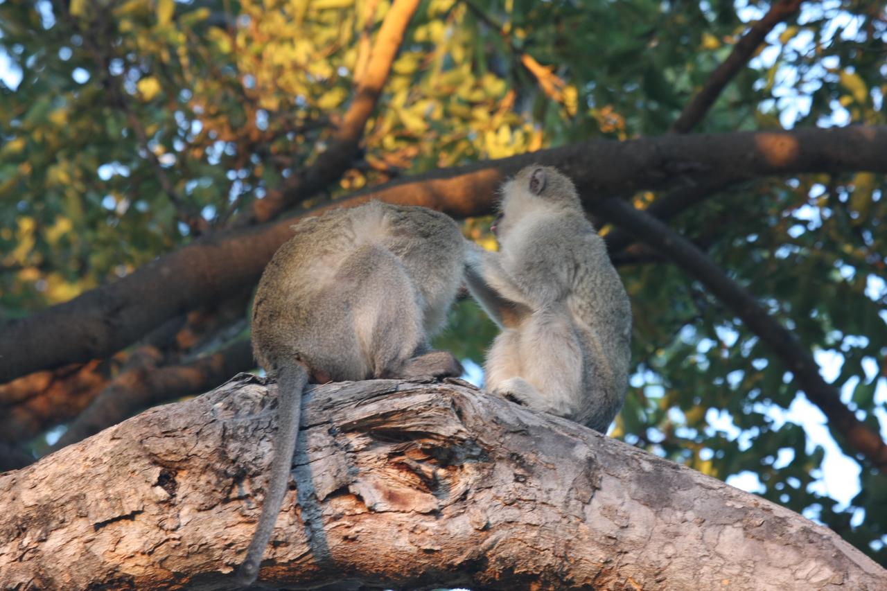 [17569] 2016_06_28_01_10_44_Africa_Canon_EOS_40D_IMG__02589.jpg