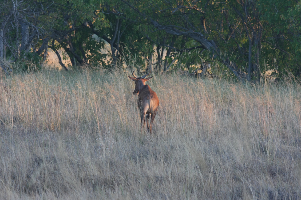 [17588] 2016_06_28_01_12_53_Africa_Canon_EOS_40D_IMG__02656.jpg