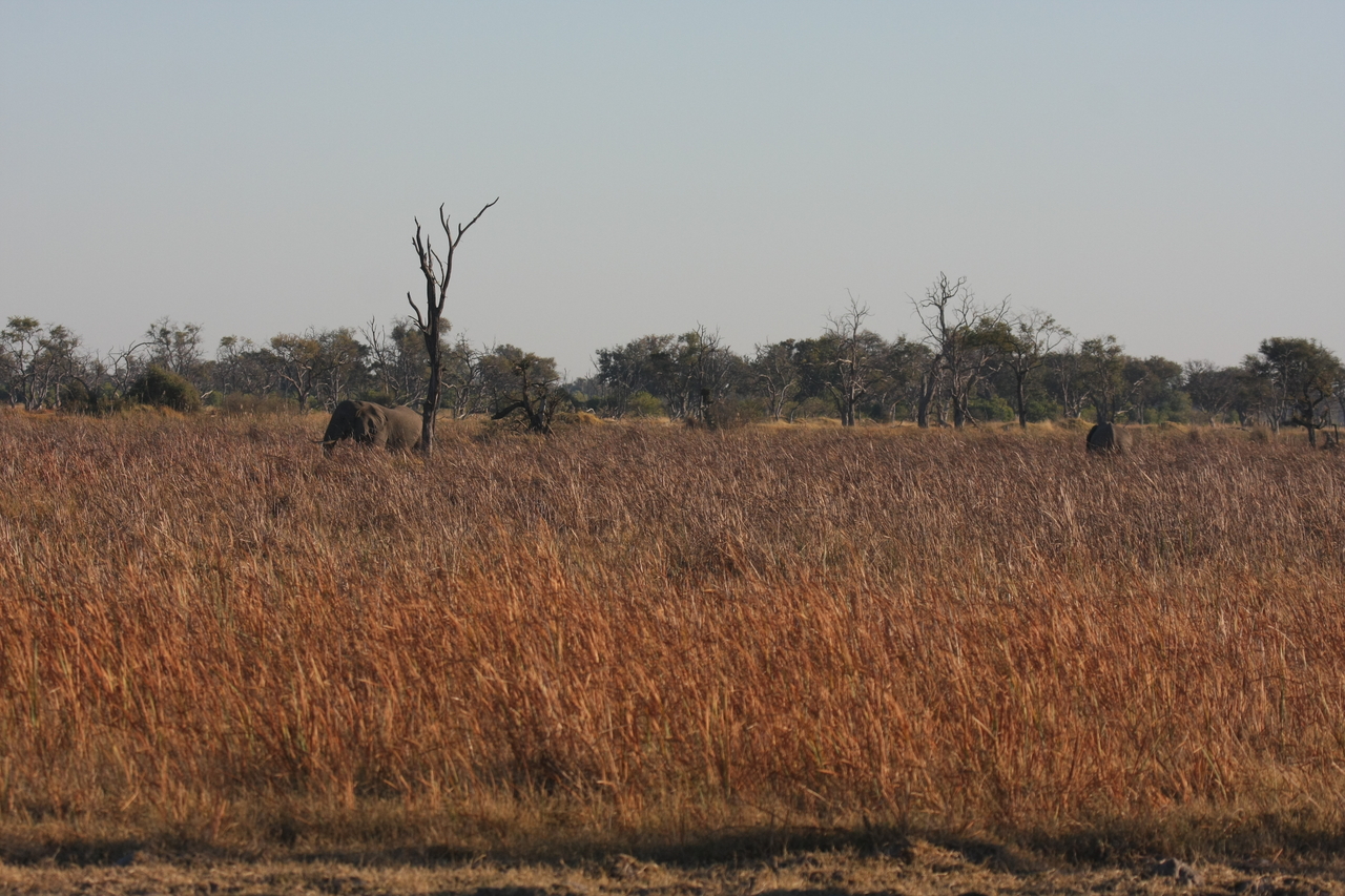 [17734] 2016_06_28_01_46_17_Africa_Canon_EOS_40D_IMG__00702.jpg