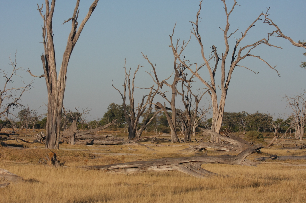 [17750] 2016_06_28_01_47_01_Africa_Canon_EOS_40D_IMG__03133.jpg