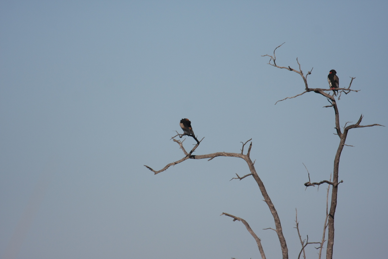 [18081] 2016_06_28_02_24_17_Africa_Canon_EOS_40D_IMG__00100.jpg