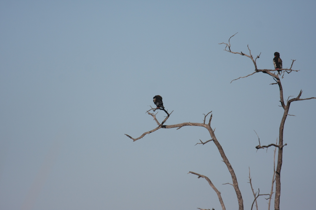 [18102] 2016_06_28_02_25_57_Africa_Canon_EOS_40D_IMG__00108.jpg