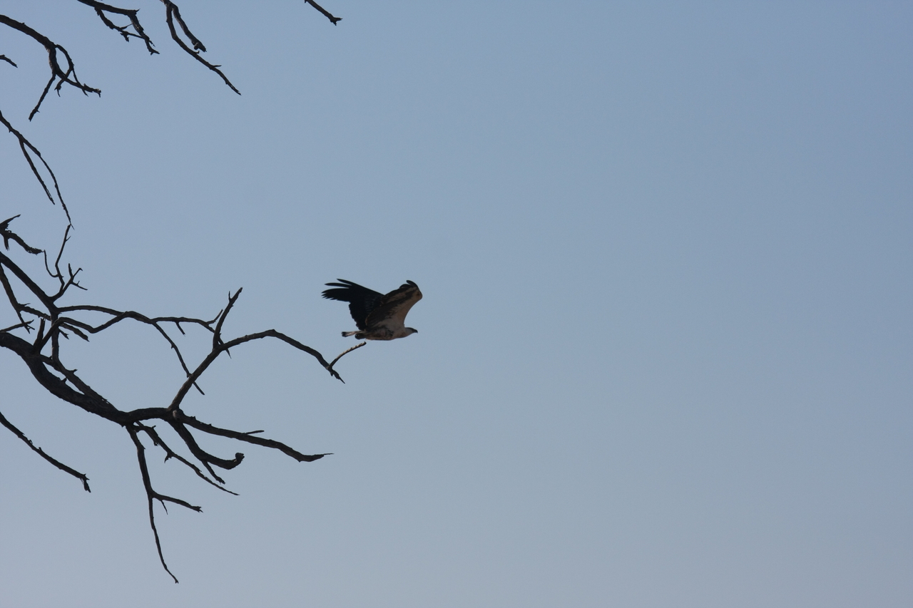 [18132] 2016_06_28_02_33_45_Africa_Canon_EOS_40D_IMG__02506.jpg