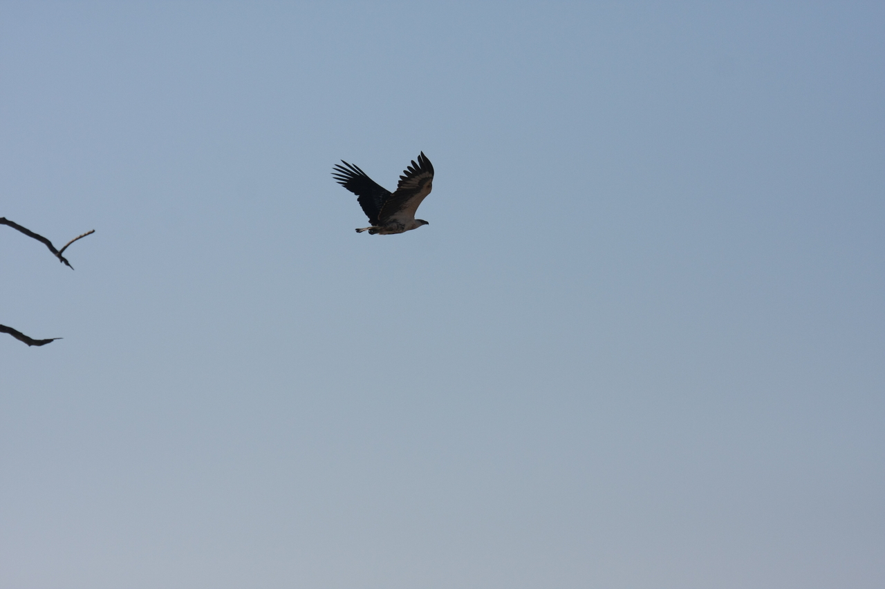 [18133] 2016_06_28_02_33_45_Africa_Canon_EOS_40D_IMG__02507.jpg