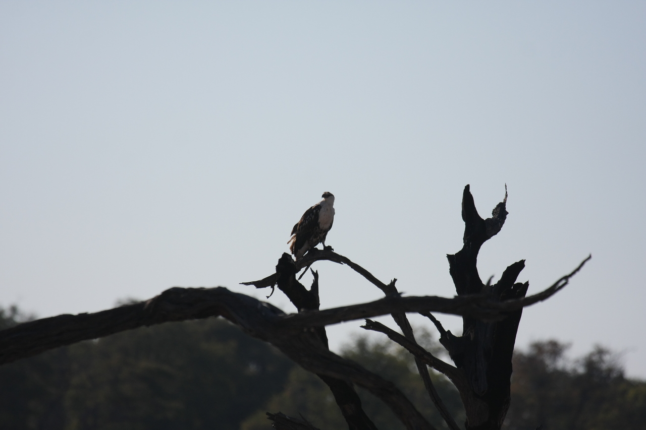 [18151] 2016_06_28_02_34_04_Africa_Canon_EOS_40D_IMG__00128.jpg