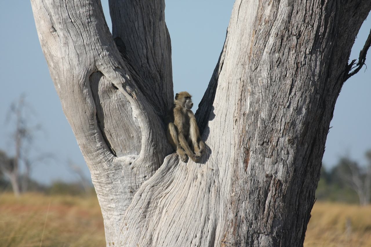 [18210] 2016_06_28_02_44_44_Africa_Canon_EOS_40D_IMG__02536.jpg