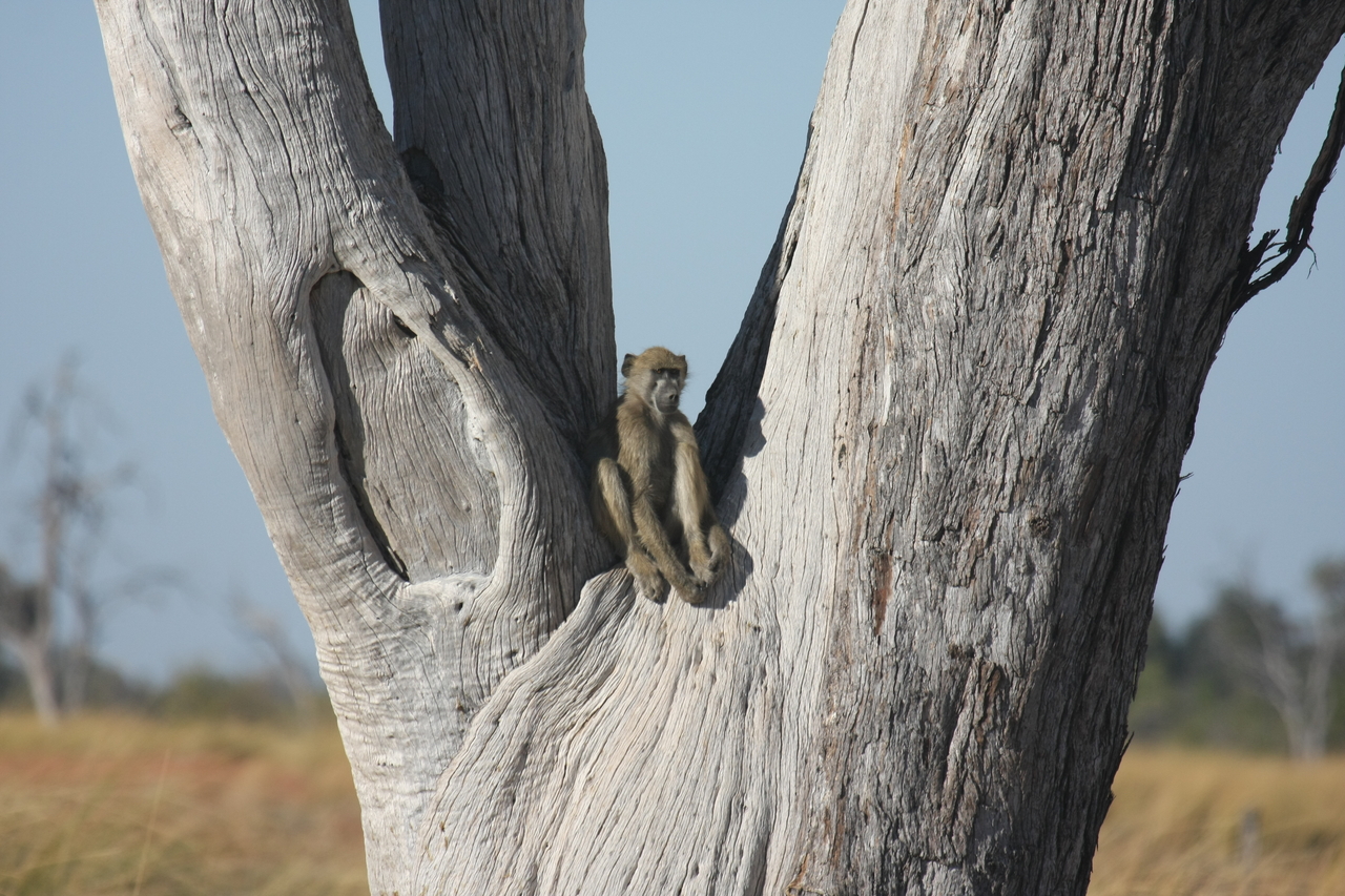 [18216] 2016_06_28_02_44_48_Africa_Canon_EOS_40D_IMG__02537.jpg