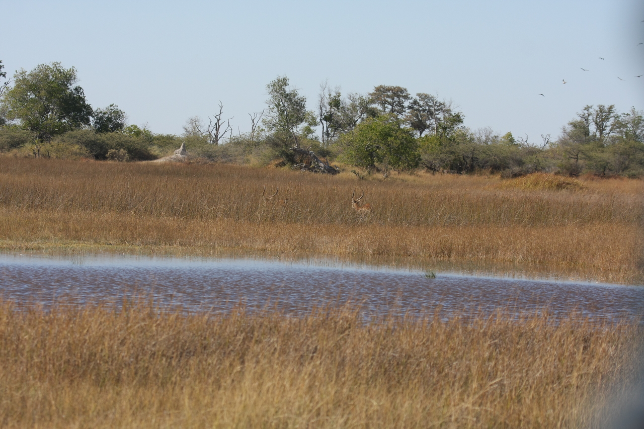 [18537] 2016_06_28_03_53_41_Africa_Canon_EOS_40D_IMG__02657.jpg