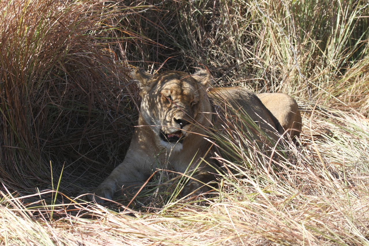 [18592] 2016_06_28_04_02_50_Africa_Canon_EOS_40D_IMG__02676.jpg