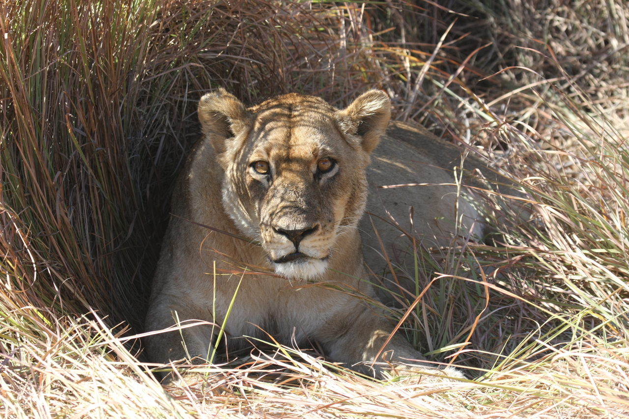 [18613] 2016_06_28_04_03_33_Africa_Canon_EOS_40D_IMG__00298.jpg