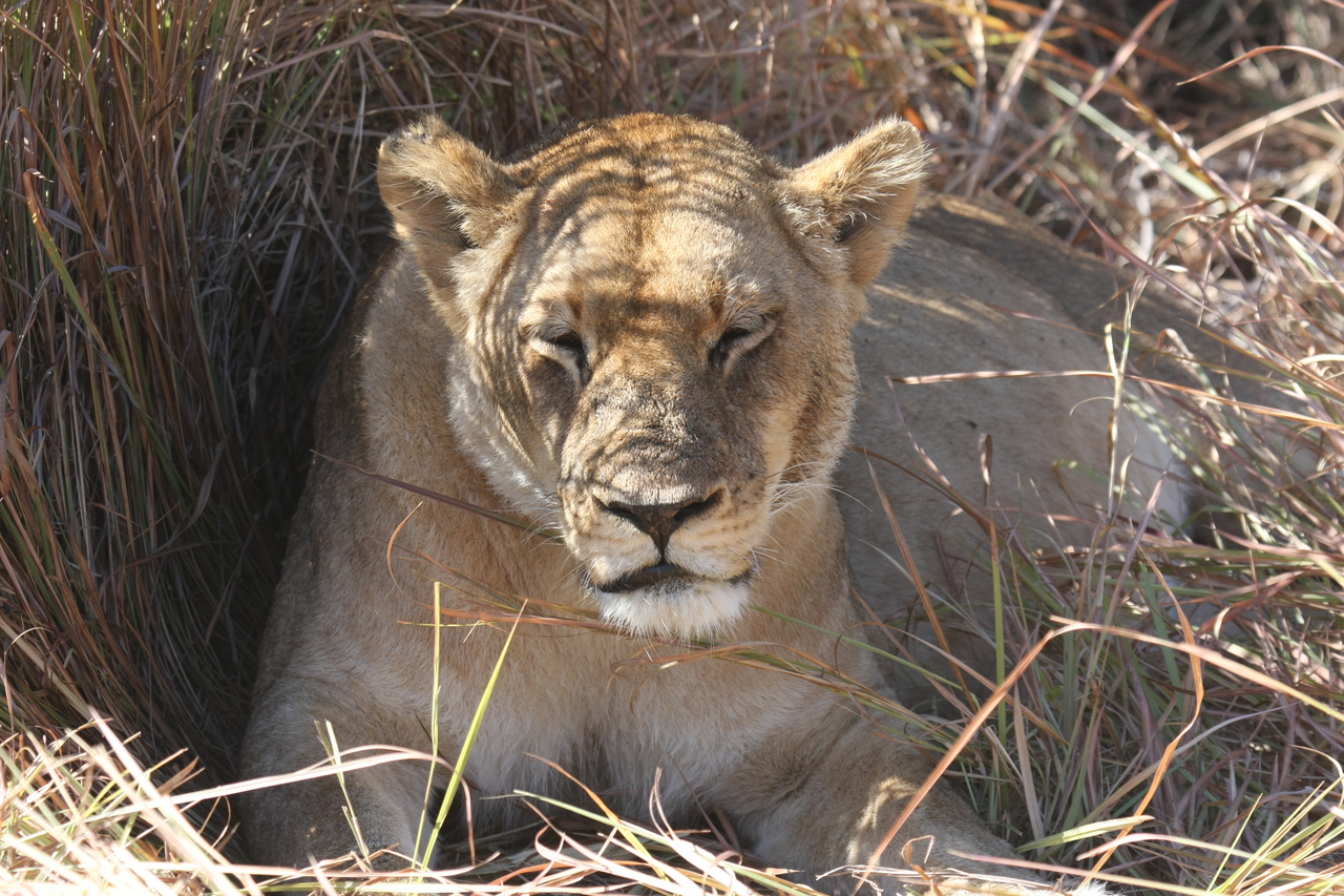 [18619] 2016_06_28_04_03_35_Africa_Canon_EOS_40D_IMG__00300.jpg