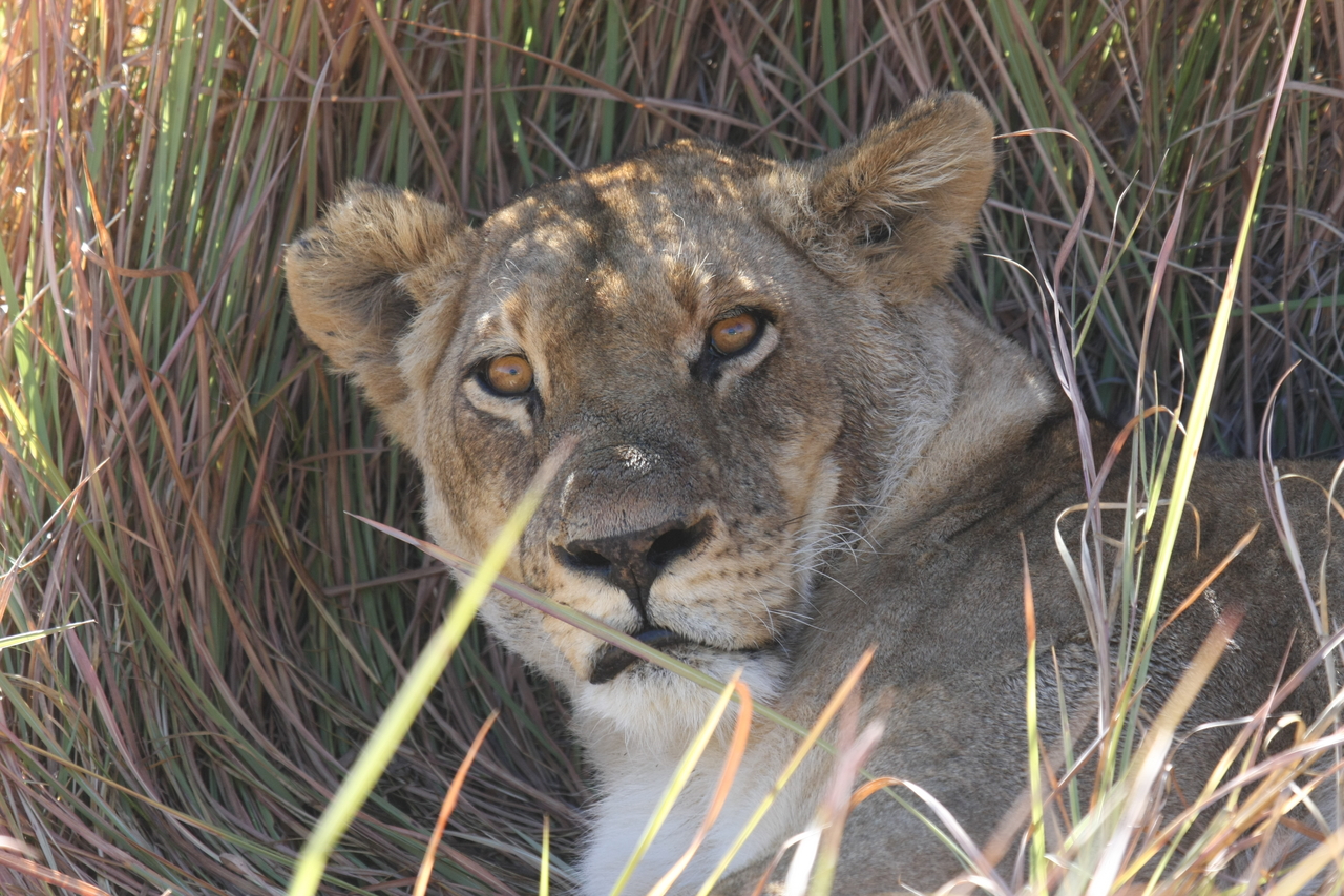 [18676] 2016_06_28_04_15_45_Africa_Canon_EOS_40D_IMG__02707.jpg