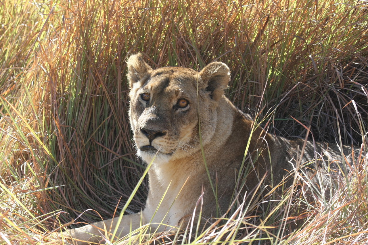 [18746] 2016_06_28_04_17_40_Africa_Canon_EOS_40D_IMG__00349.jpg