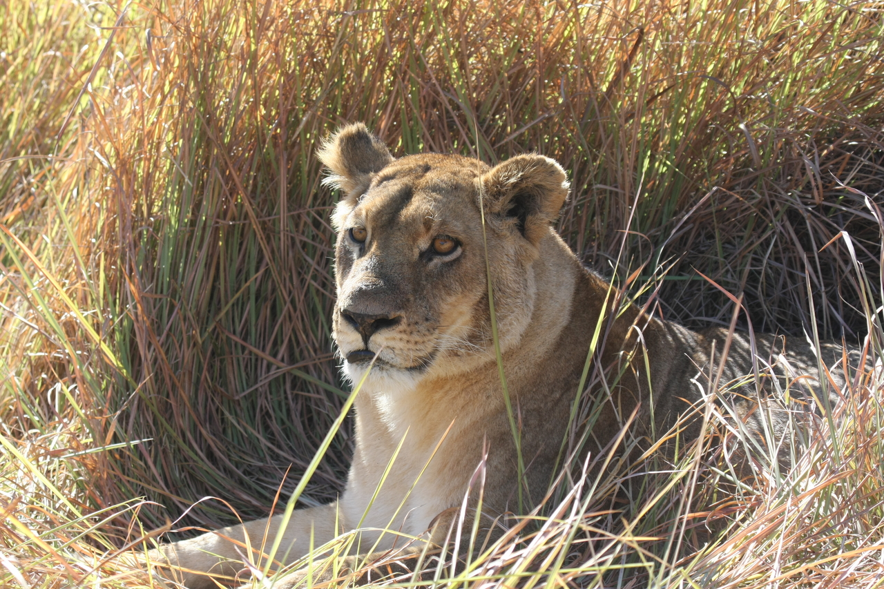 [18762] 2016_06_28_04_17_42_Africa_Canon_EOS_40D_IMG__02739.jpg