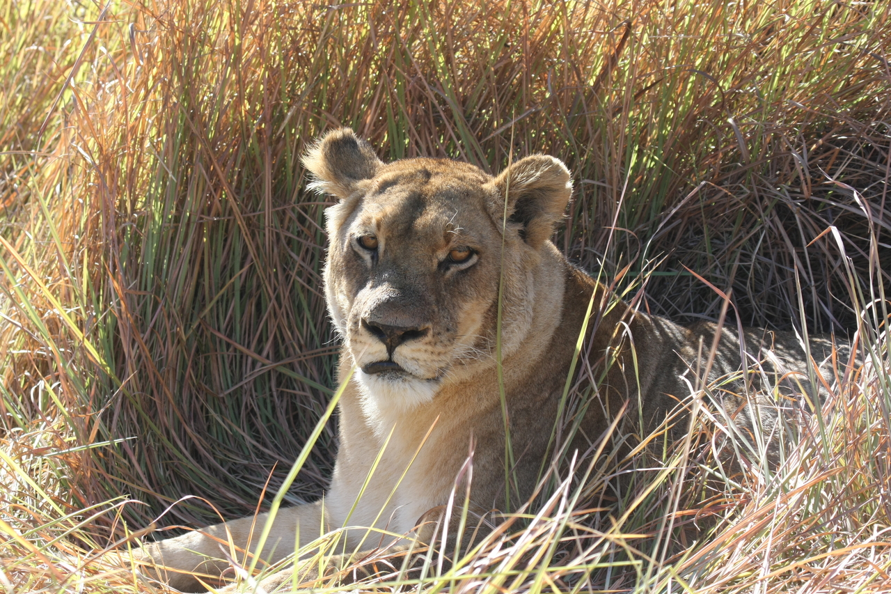 [18774] 2016_06_28_04_17_43_Africa_Canon_EOS_40D_IMG__10189.jpg