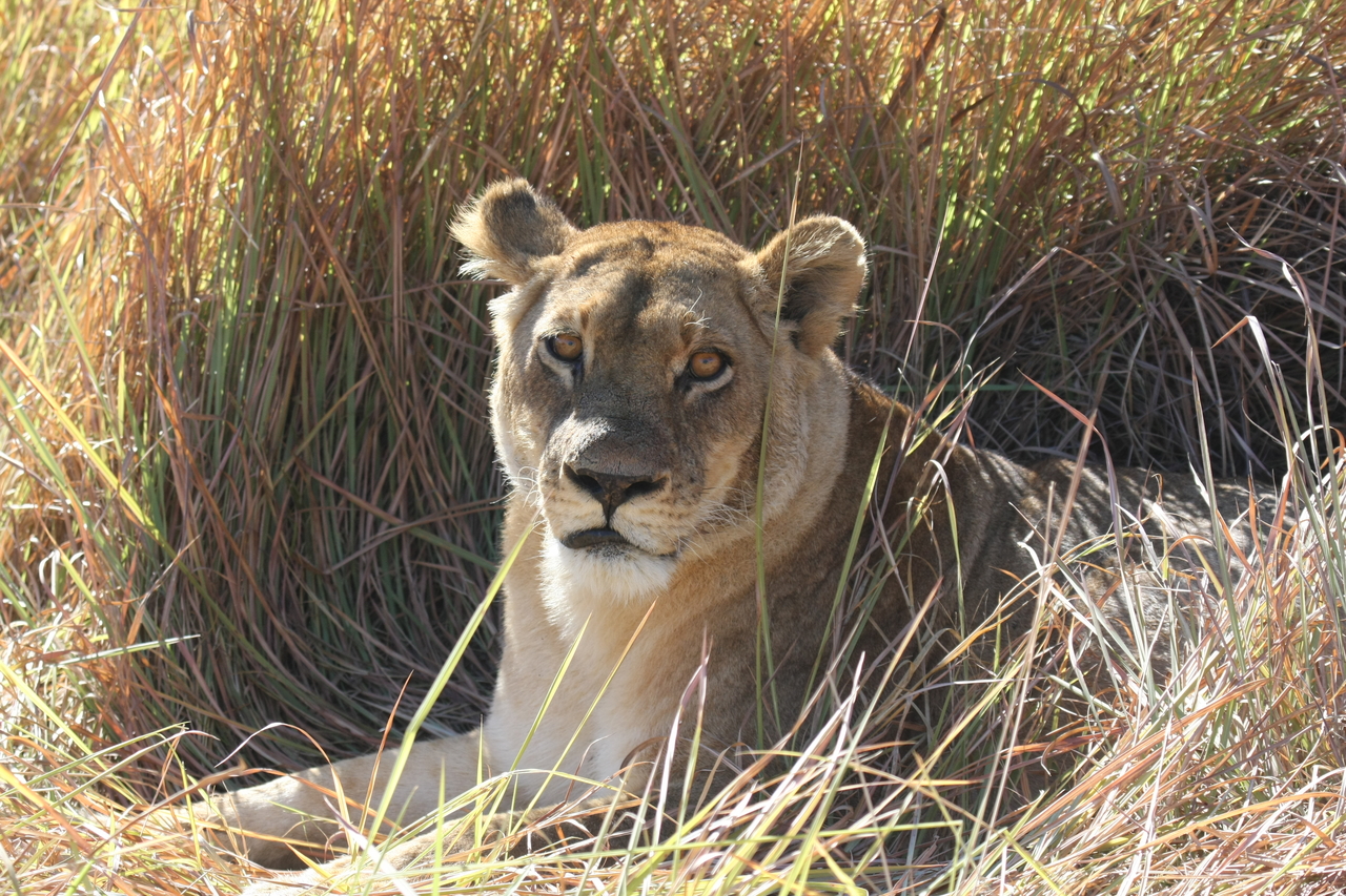 [18781] 2016_06_28_04_17_44_Africa_Canon_EOS_40D_IMG__10193.jpg