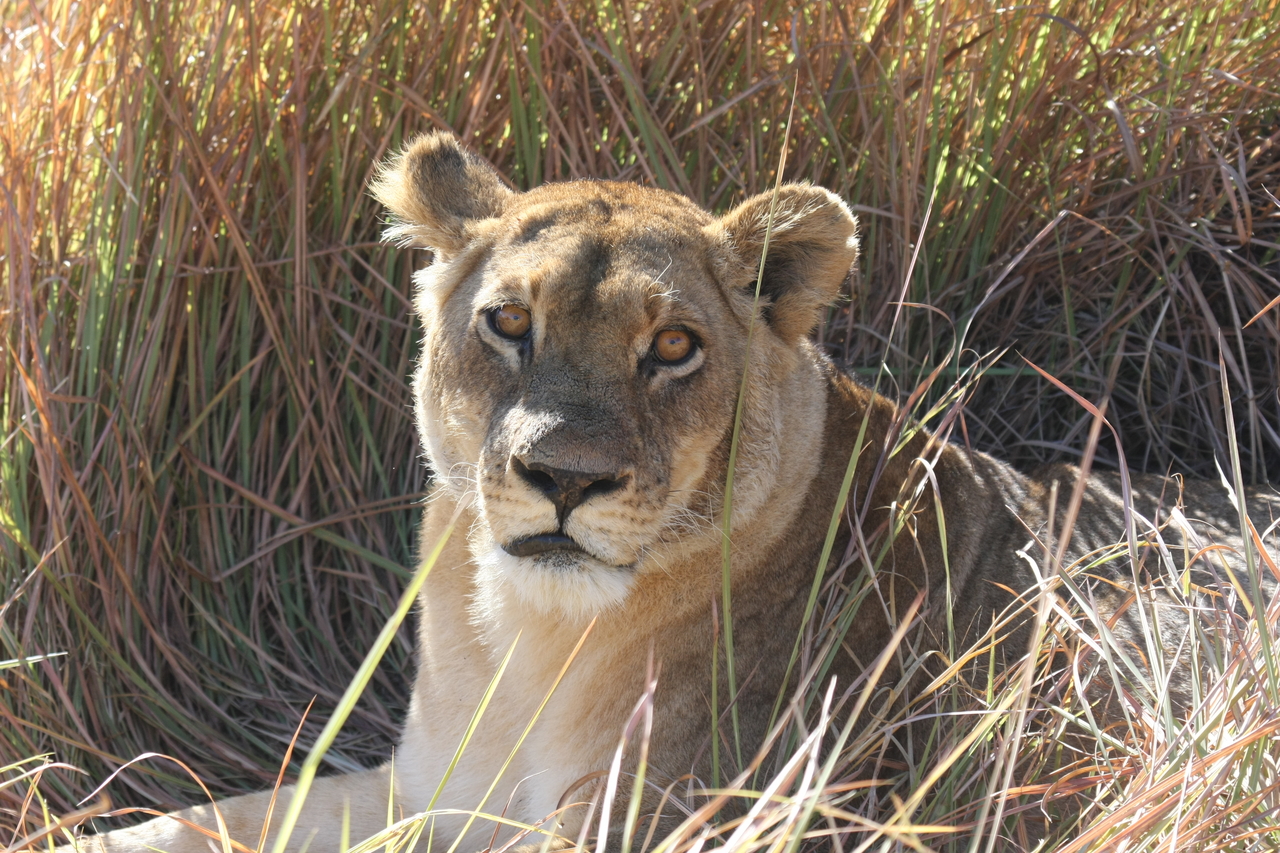 [18792] 2016_06_28_04_17_47_Africa_Canon_EOS_40D_IMG__00364.jpg