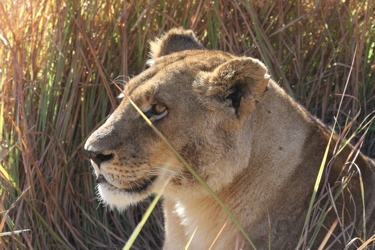 [18829] 2016_06_28_04_18_12_Africa_Canon_EOS_40D_IMG__02763.jpg