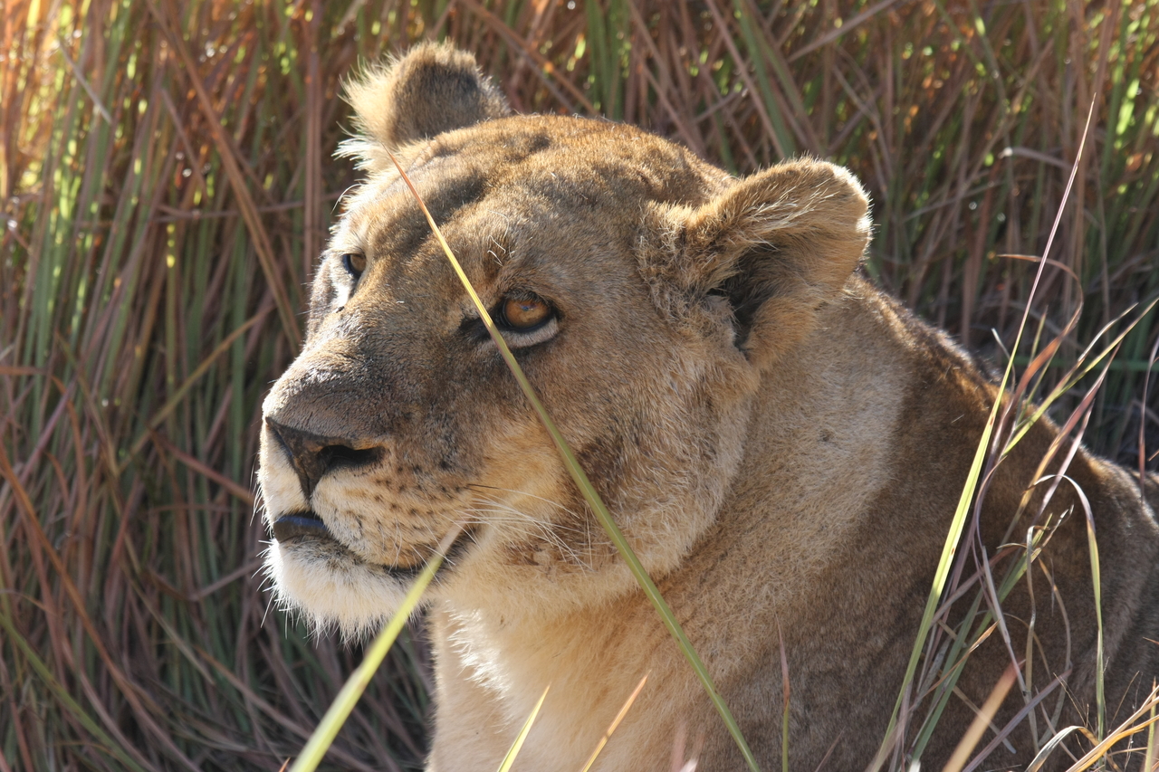 [18834] 2016_06_28_04_18_15_Africa_Canon_EOS_40D_IMG__00379.jpg