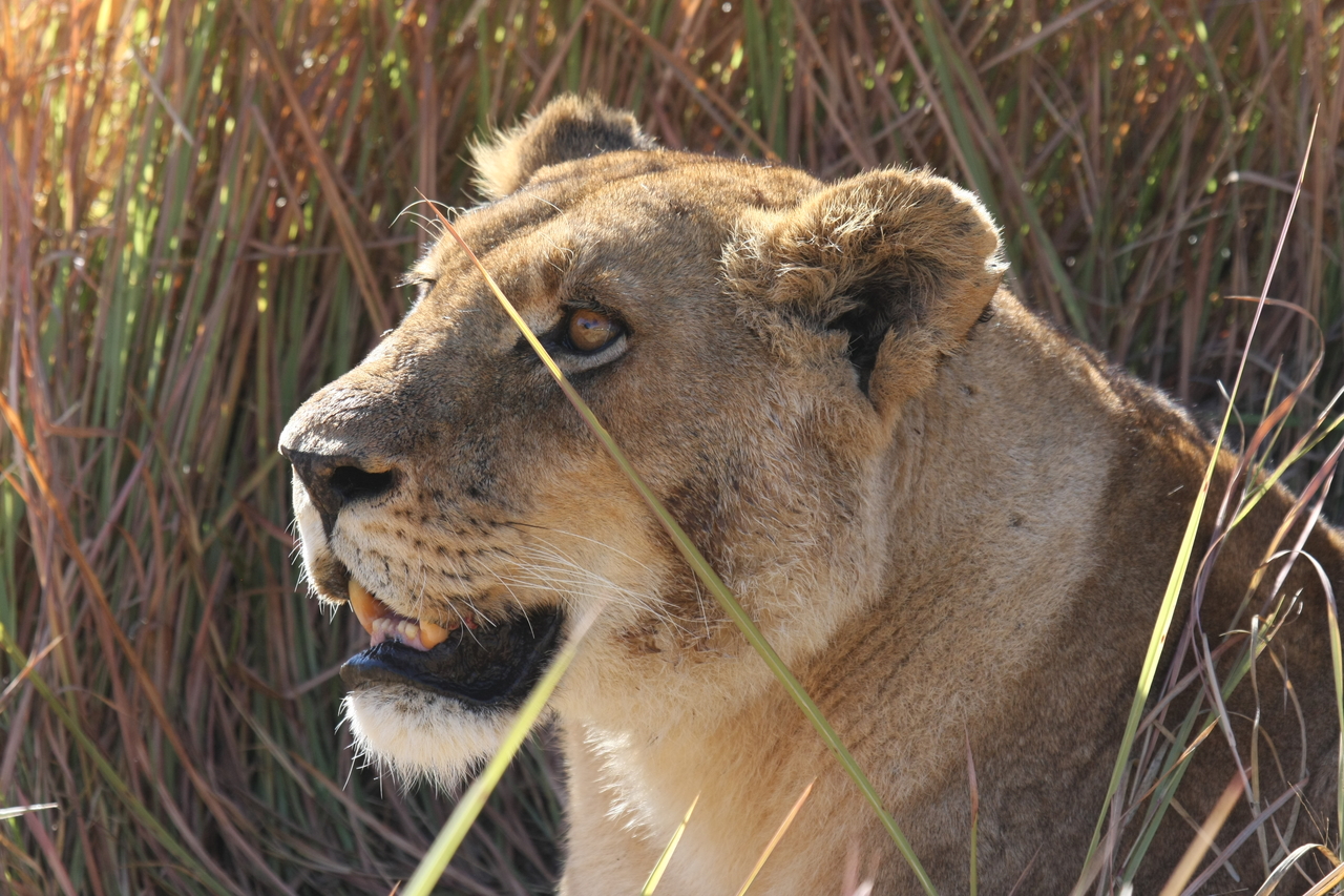 [18844] 2016_06_28_04_18_17_Africa_Canon_EOS_40D_IMG__02769.jpg