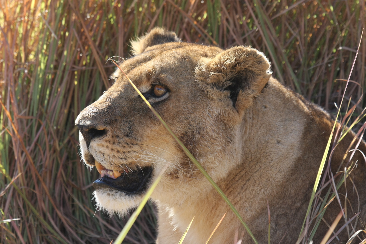 [18853] 2016_06_28_04_18_18_Africa_Canon_EOS_40D_IMG__10217.jpg