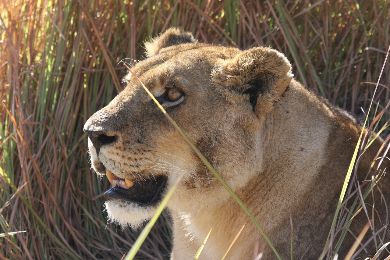 [18855] 2016_06_28_04_18_18_Africa_Canon_EOS_40D_IMG__10219.jpg