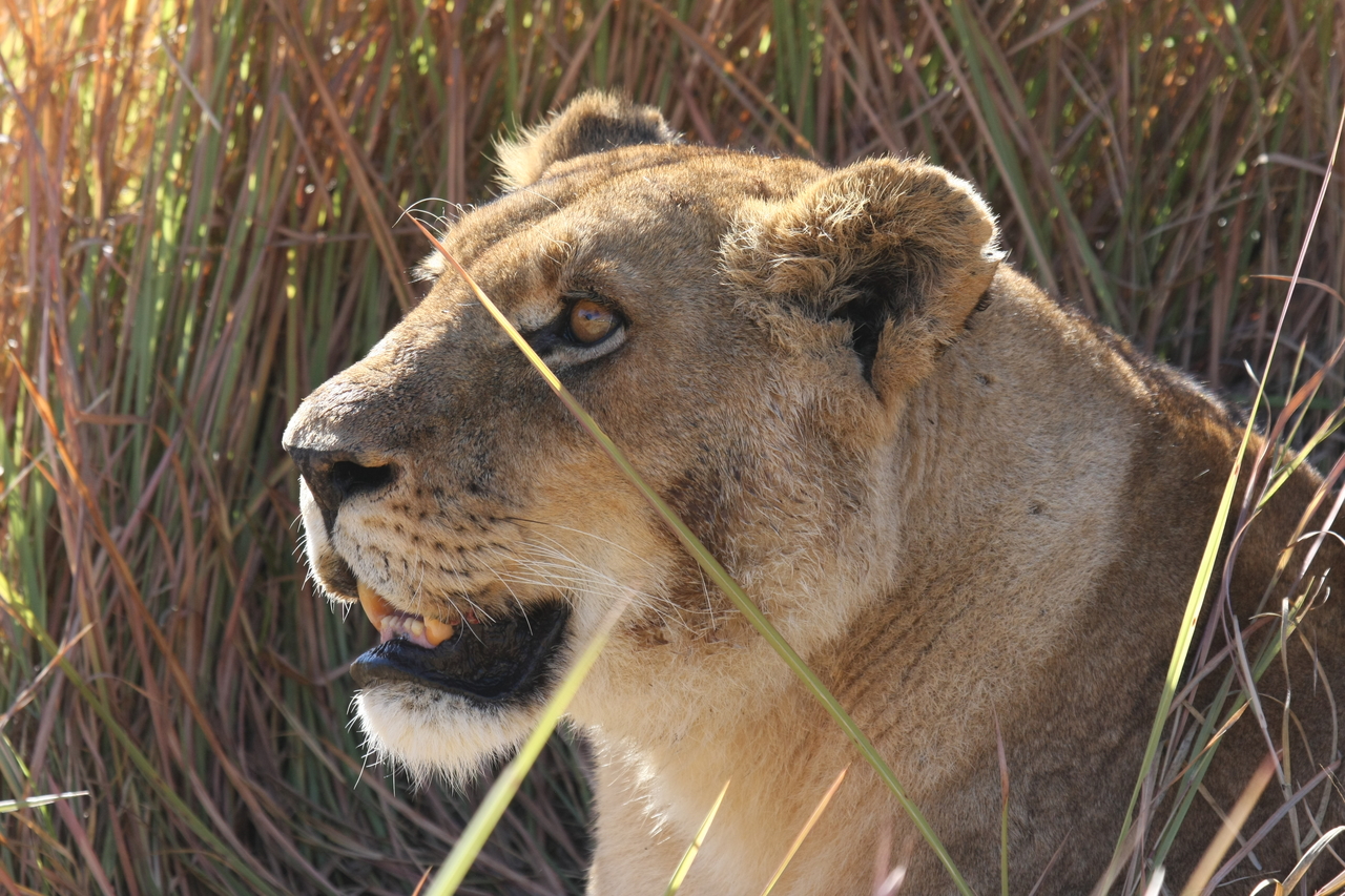 [18857] 2016_06_28_04_18_19_Africa_Canon_EOS_40D_IMG__02773.jpg