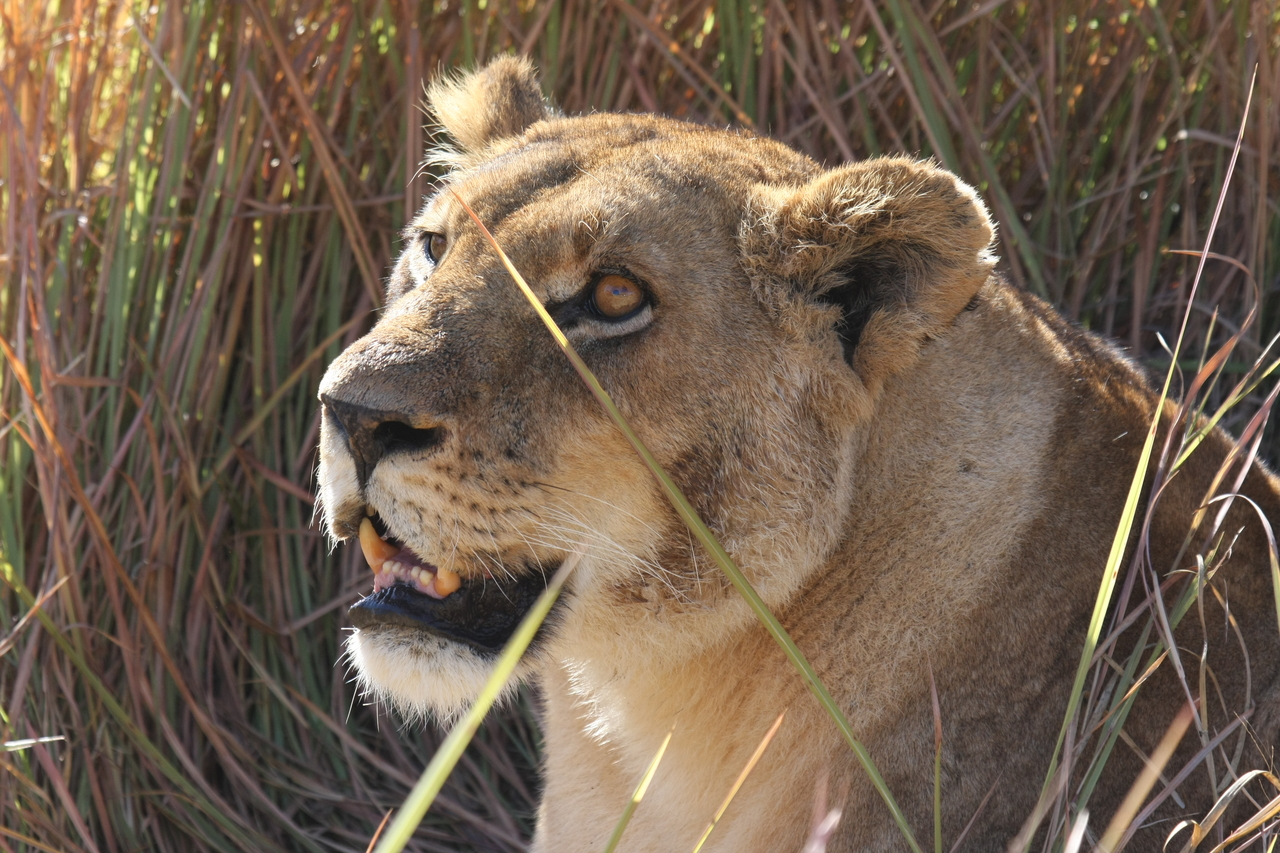 [18863] 2016_06_28_04_18_22_Africa_Canon_EOS_40D_IMG__02775.jpg