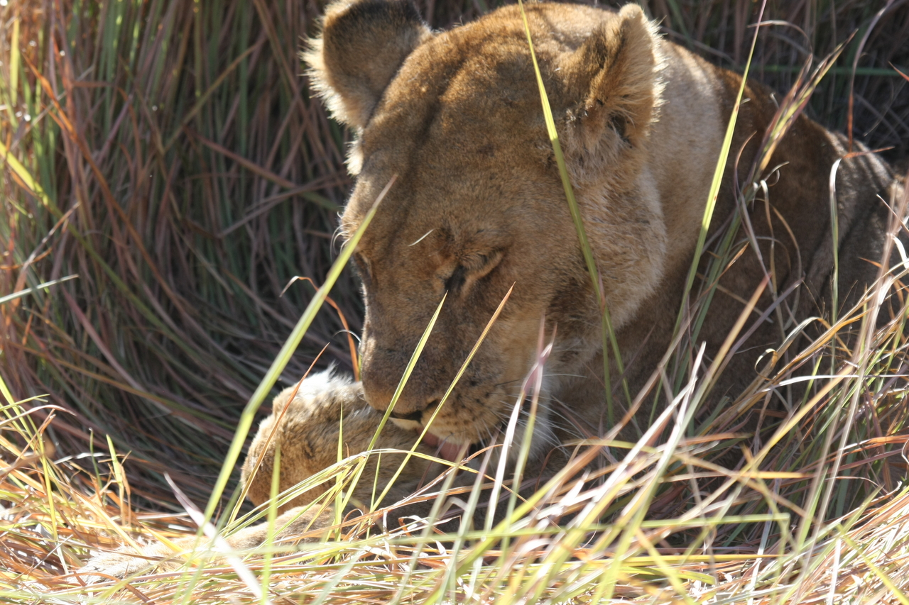 [18919] 2016_06_28_04_18_40_Africa_Canon_EOS_40D_IMG__00409.jpg