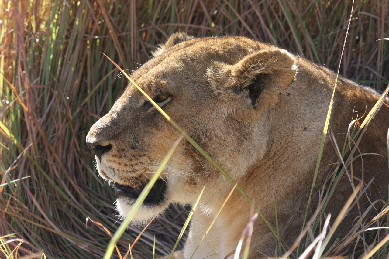 [18960] 2016_06_28_04_18_55_Africa_Canon_EOS_40D_IMG__10257.jpg