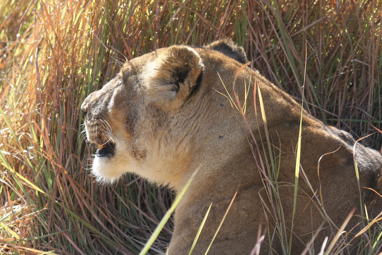 [18969] 2016_06_28_04_19_10_Africa_Canon_EOS_40D_IMG__10261.jpg