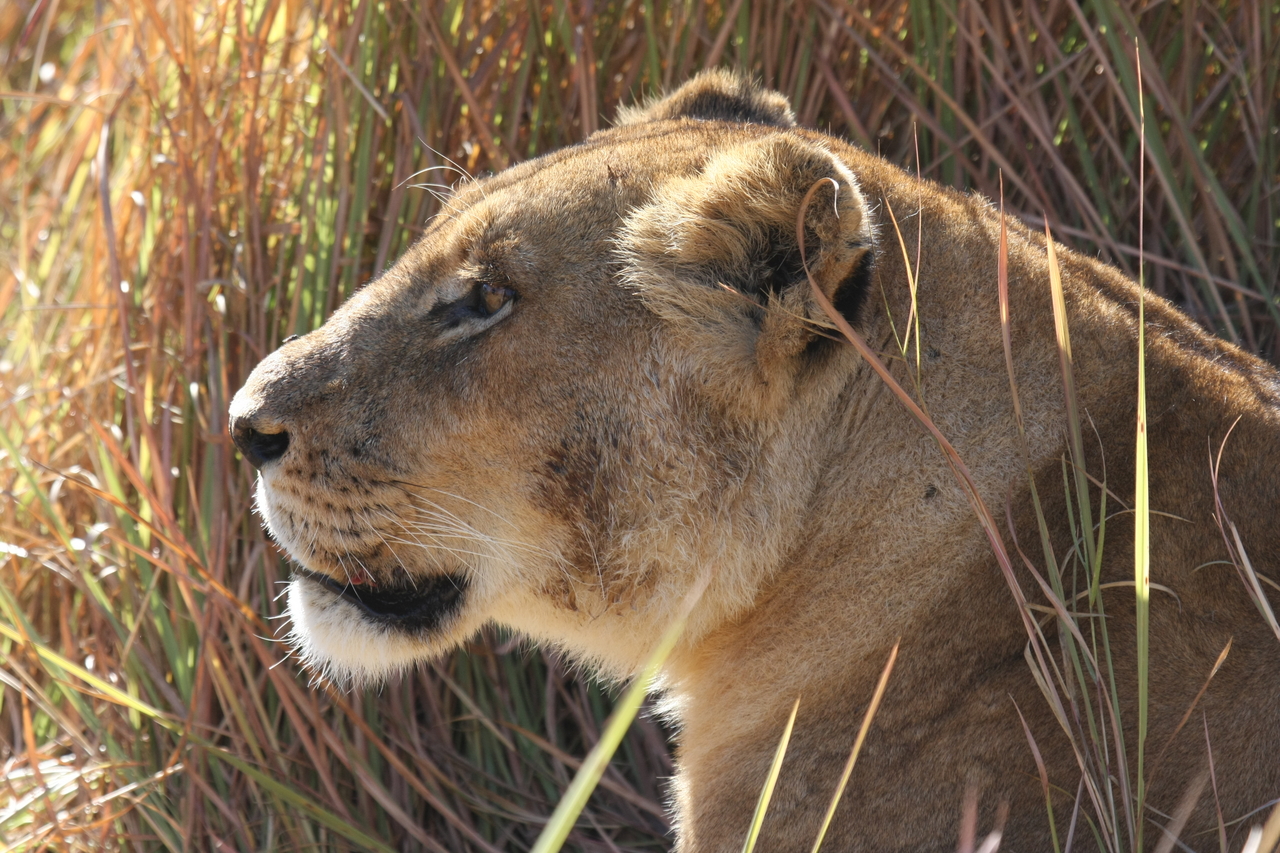 [19008] 2016_06_28_04_21_47_Africa_Canon_EOS_40D_IMG__02824.jpg