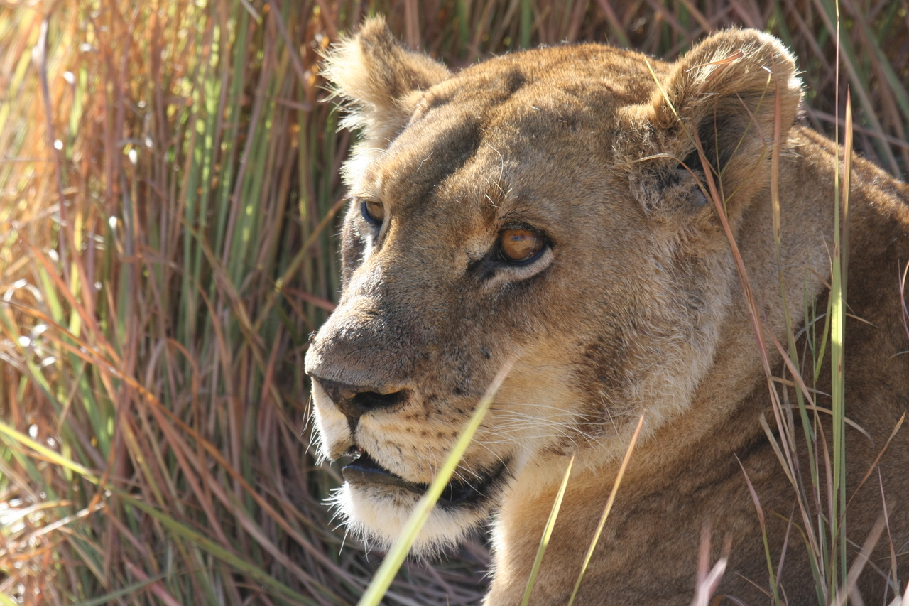 [19052] 2016_06_28_04_23_20_Africa_Canon_EOS_40D_IMG__02836.jpg