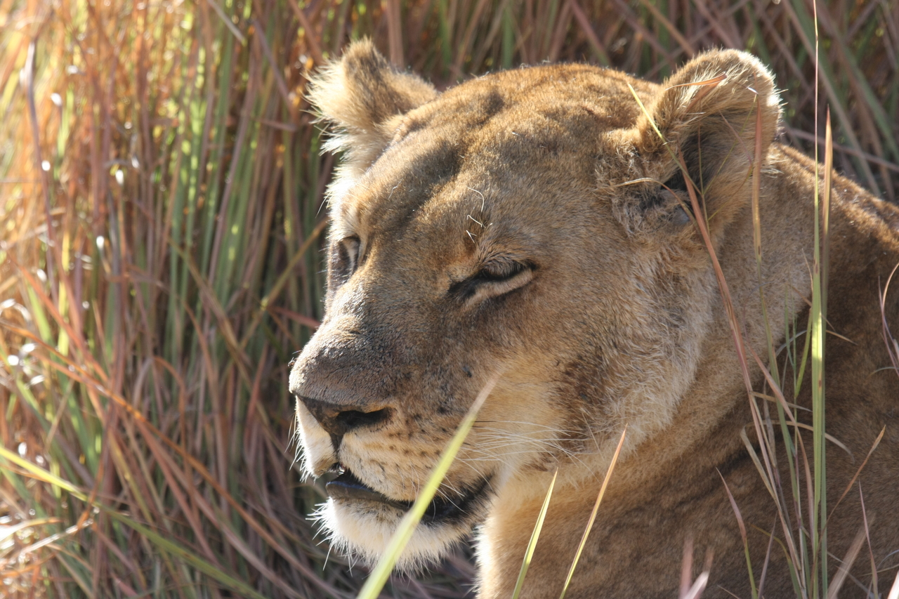 [19059] 2016_06_28_04_23_21_Africa_Canon_EOS_40D_IMG__10284.jpg