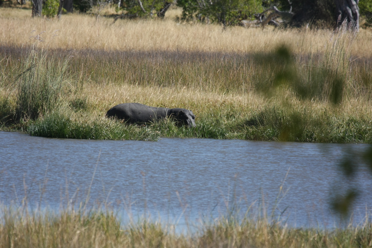 [19586] 2016_06_28_05_23_43_Africa_Canon_EOS_40D_IMG__00645.jpg