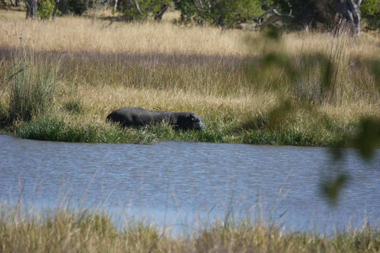 [19621] 2016_06_28_05_24_24_Africa_Canon_EOS_40D_IMG__00660.jpg