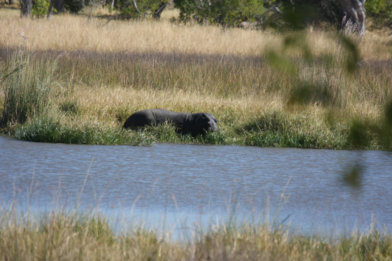 [19637] 2016_06_28_05_25_03_Africa_Canon_EOS_40D_IMG__03050.jpg