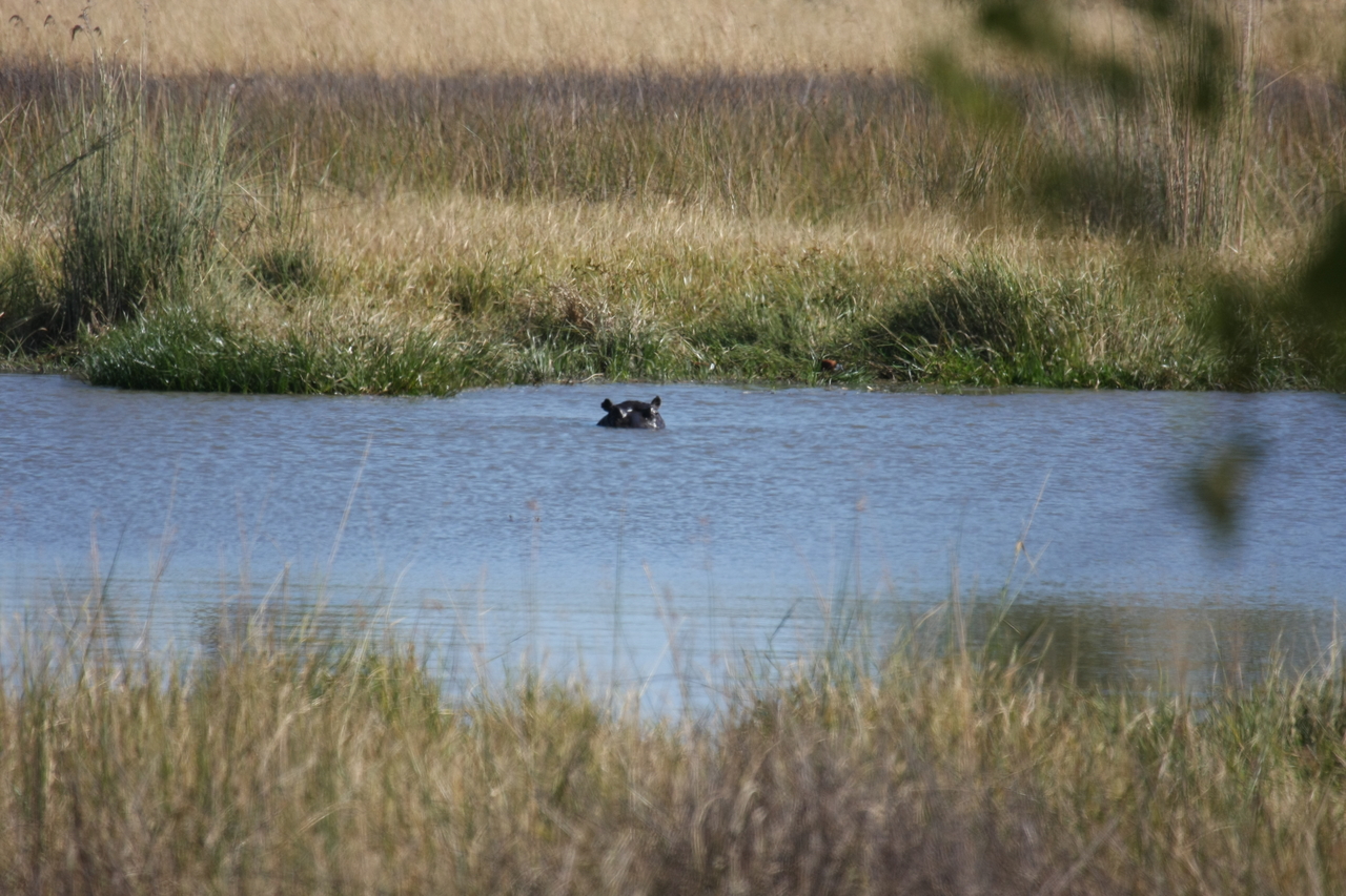 [19686] 2016_06_28_05_27_28_Africa_Canon_EOS_40D_IMG__00684.jpg