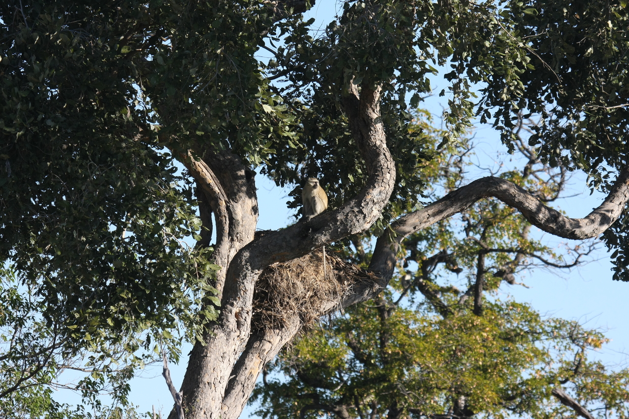 [19995] 2016_06_28_10_27_44_Africa_Canon_EOS_40D_IMG__03118.jpg