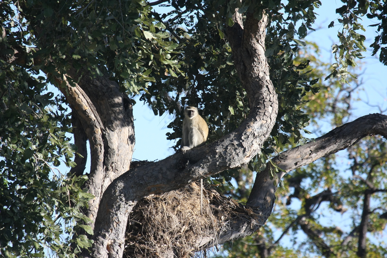[20004] 2016_06_28_10_28_23_Africa_Canon_EOS_40D_IMG__00734.jpg