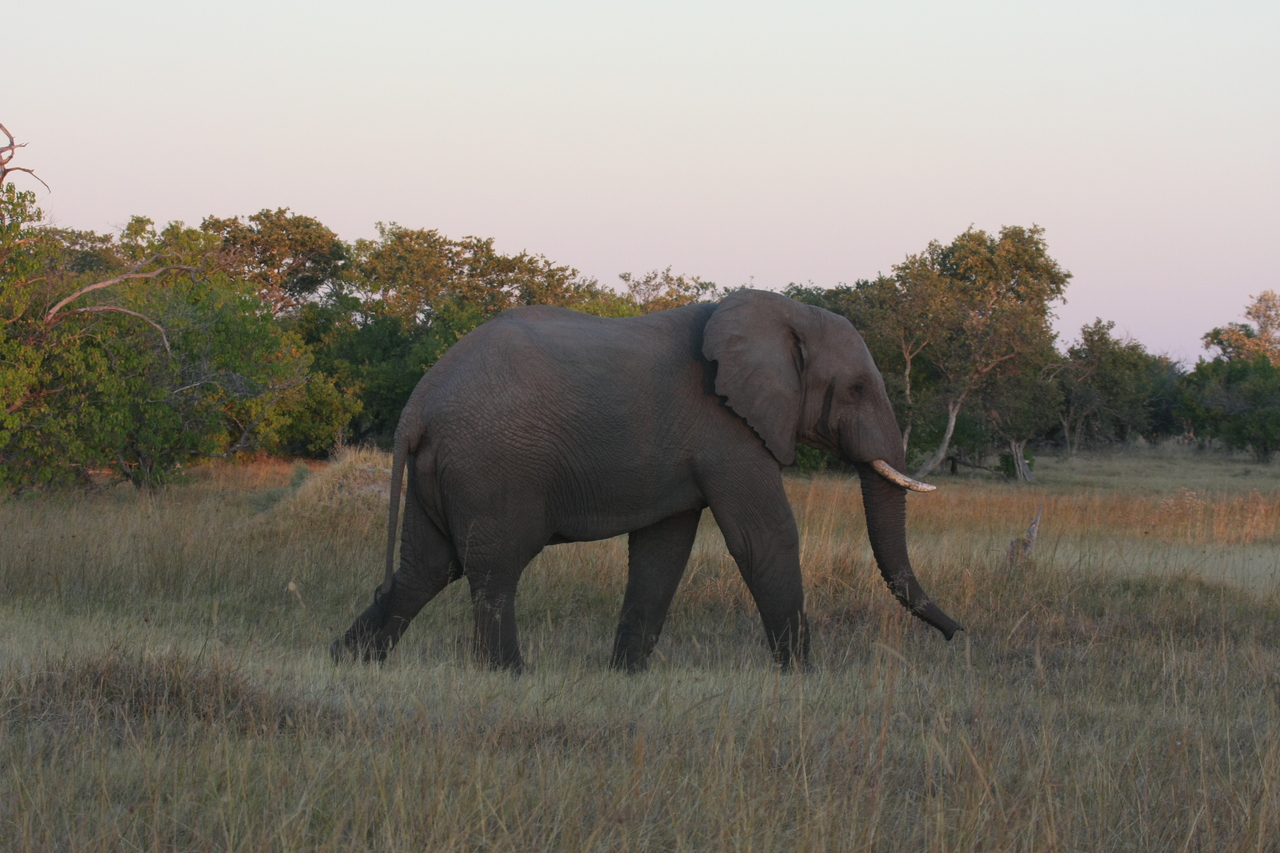 [20155] 2016_06_28_11_53_08_Africa_Canon_EOS_40D_IMG__03153.jpg